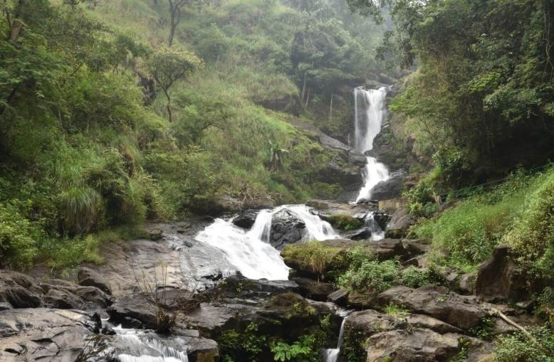 Iruppu Falls in Coorg